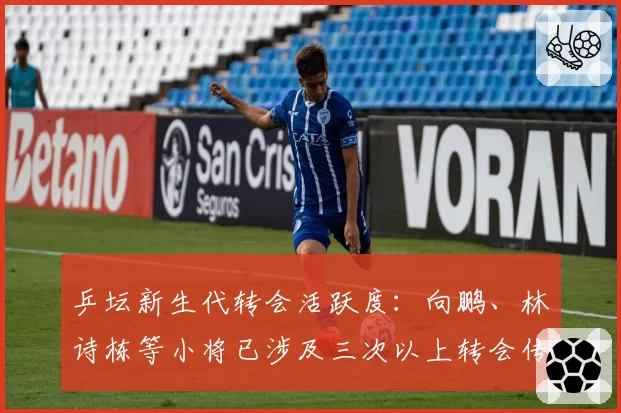乒坛新生代转会活跃度:向鹏、林诗栋等小将已涉及三次以上转会传闻