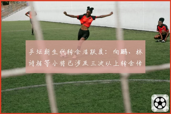 乒坛新生代转会活跃度：向鹏、林诗栋等小将已涉及三次以上转会传闻