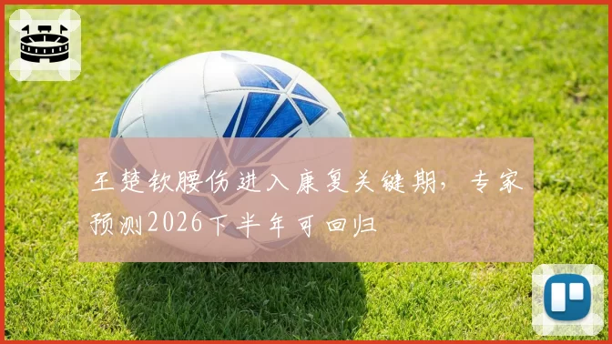 王楚钦腰伤进入康复关键期，专家预测2026下半年可回归