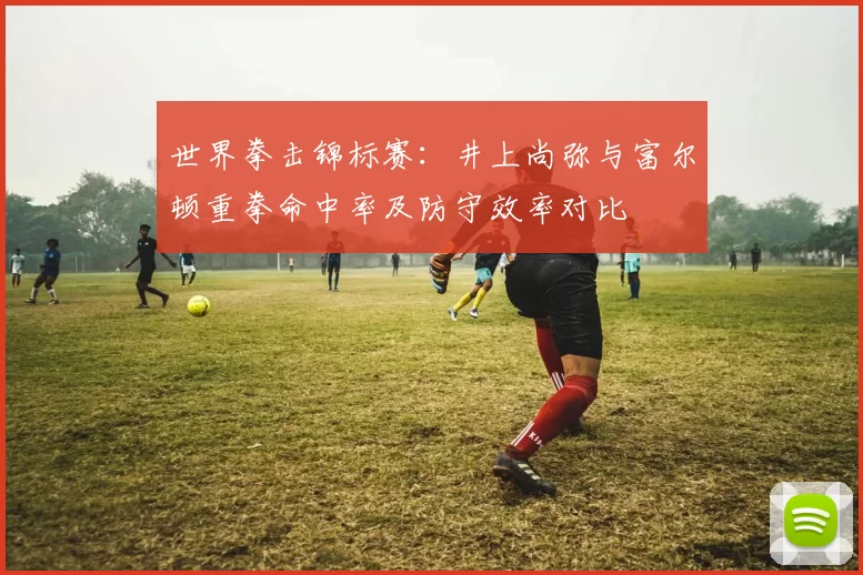 世界拳击锦标赛：井上尚弥与富尔顿重拳命中率及防守效率对比